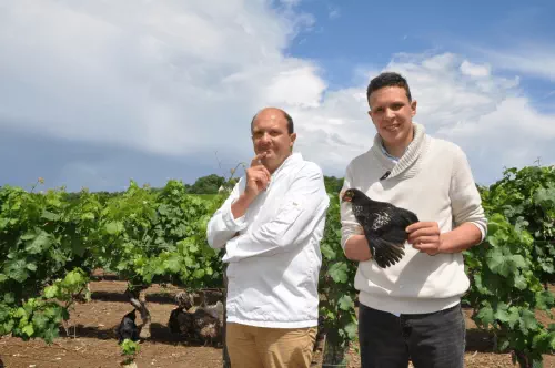 Au cœur du vignoble de Bourgueil