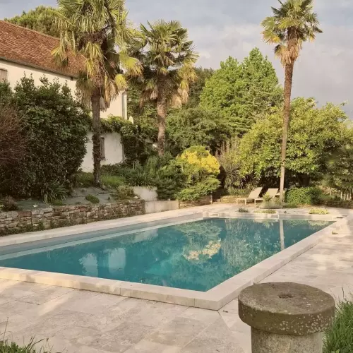 Piscine  de 12m au sel et maison béarnaise de 1650