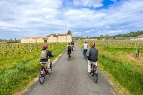 Bordeaux Wine Trails