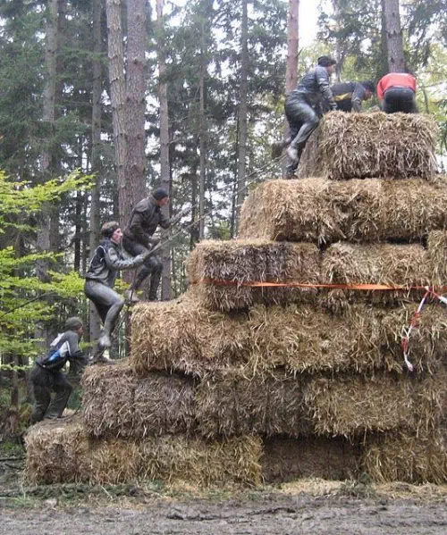 Activités déjantées des Hauts-de-France