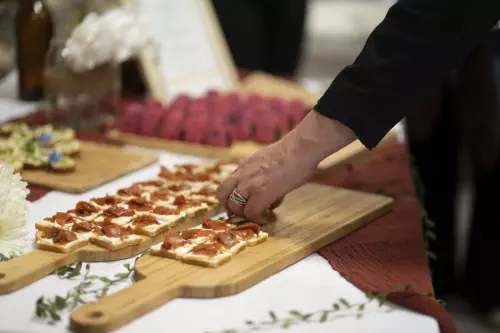 Faumon et cream cheese végétal