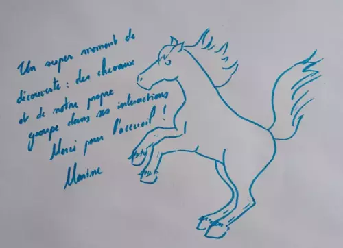 (Equi)Coaching Grandeur Nature