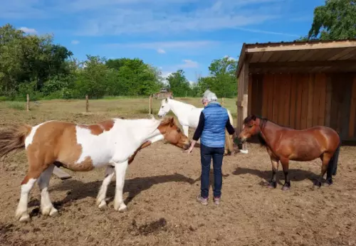 (Equi)Coaching Grandeur Nature