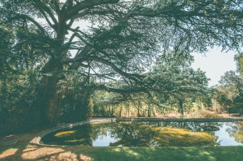 Parc