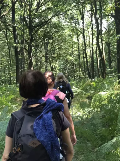 Ateliers inspirants pour (re)découvrir la biodiversité