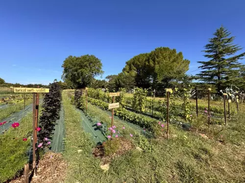 Tiers-lieu nature pour séminaires d’entreprise près de Montpellier