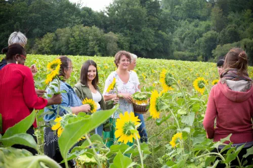 Visite et ateliers au sein d'une ferme limousine