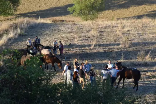 Teambuilding avec des chevaux en occitanie