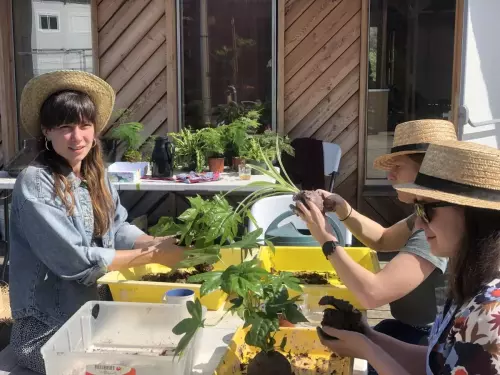 Atelier couronne de noël sur Paris