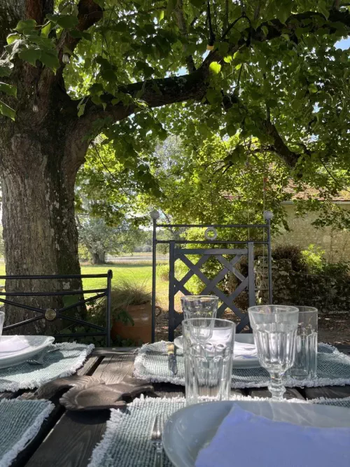 Le vieux tilleul sert d'ombre aux repas installés dehors près du barbecue.