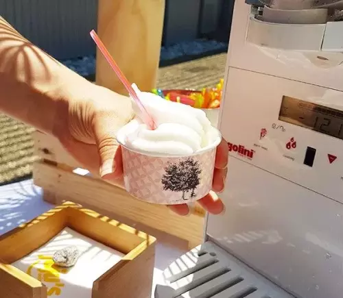 Stands d'animations culinaires ludiques