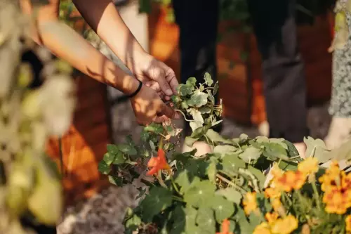 Ferme urbaine et ateliers