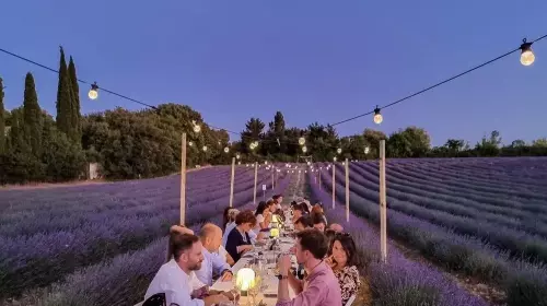 Salle de réception dans les lavandes