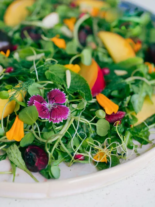 Salade fraiche d'été