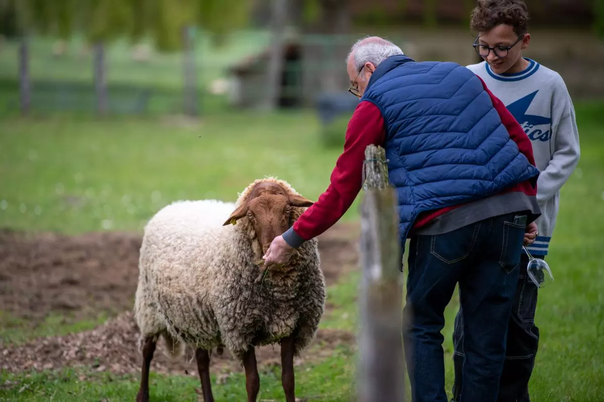 Ferme pédagogique