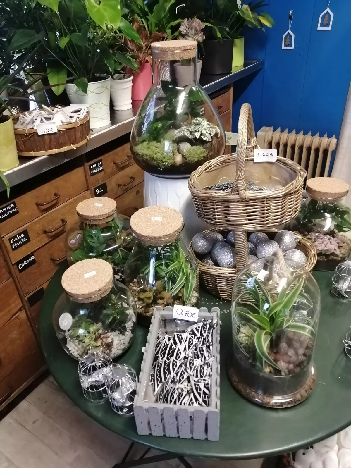 Terrarium