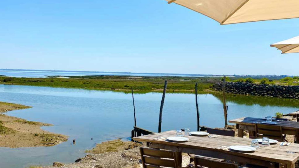 vue sur le bassin d'arcachon depuis une terrasse, c'est l'un des arrêts que propose cette agence pour ce séminaire d'entreprise original