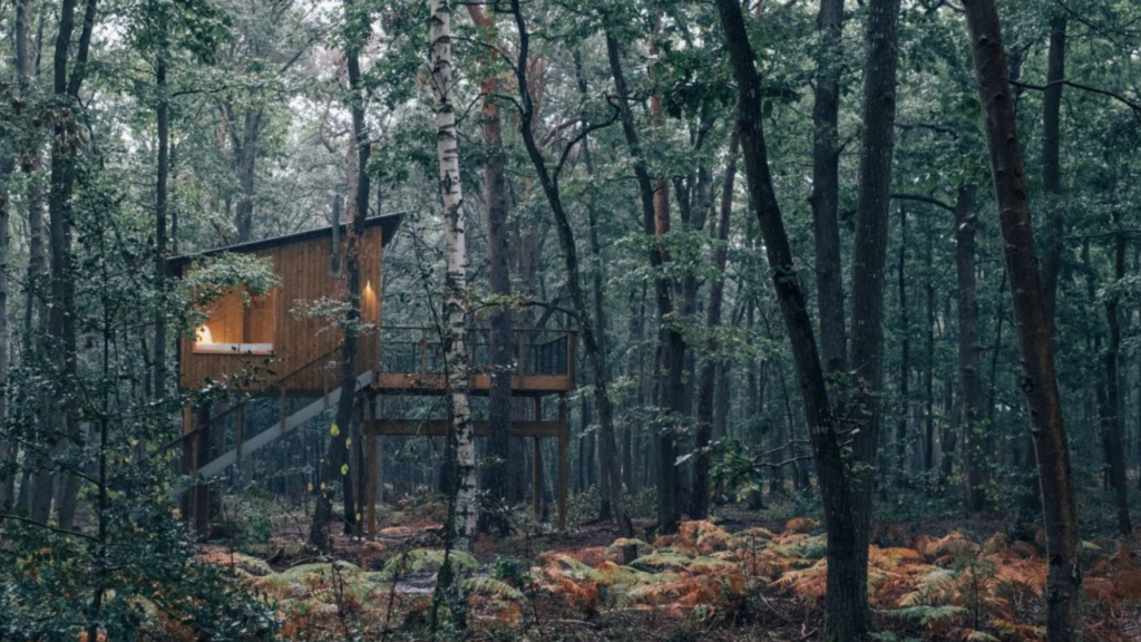 écolodge en pleine forêt, c'est la première idée de séminaire d'entreprise unique près de Paris
