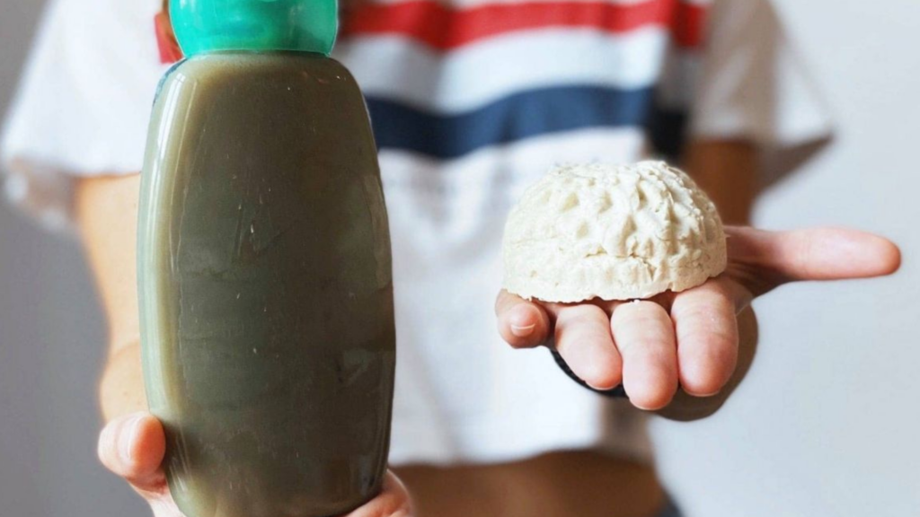 séminaires incentives