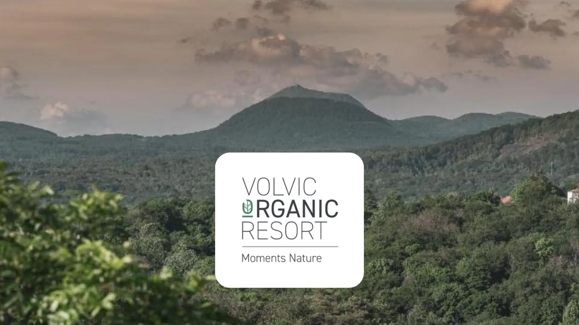 s&eacute;minaire original au vert