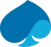 logo capgemini