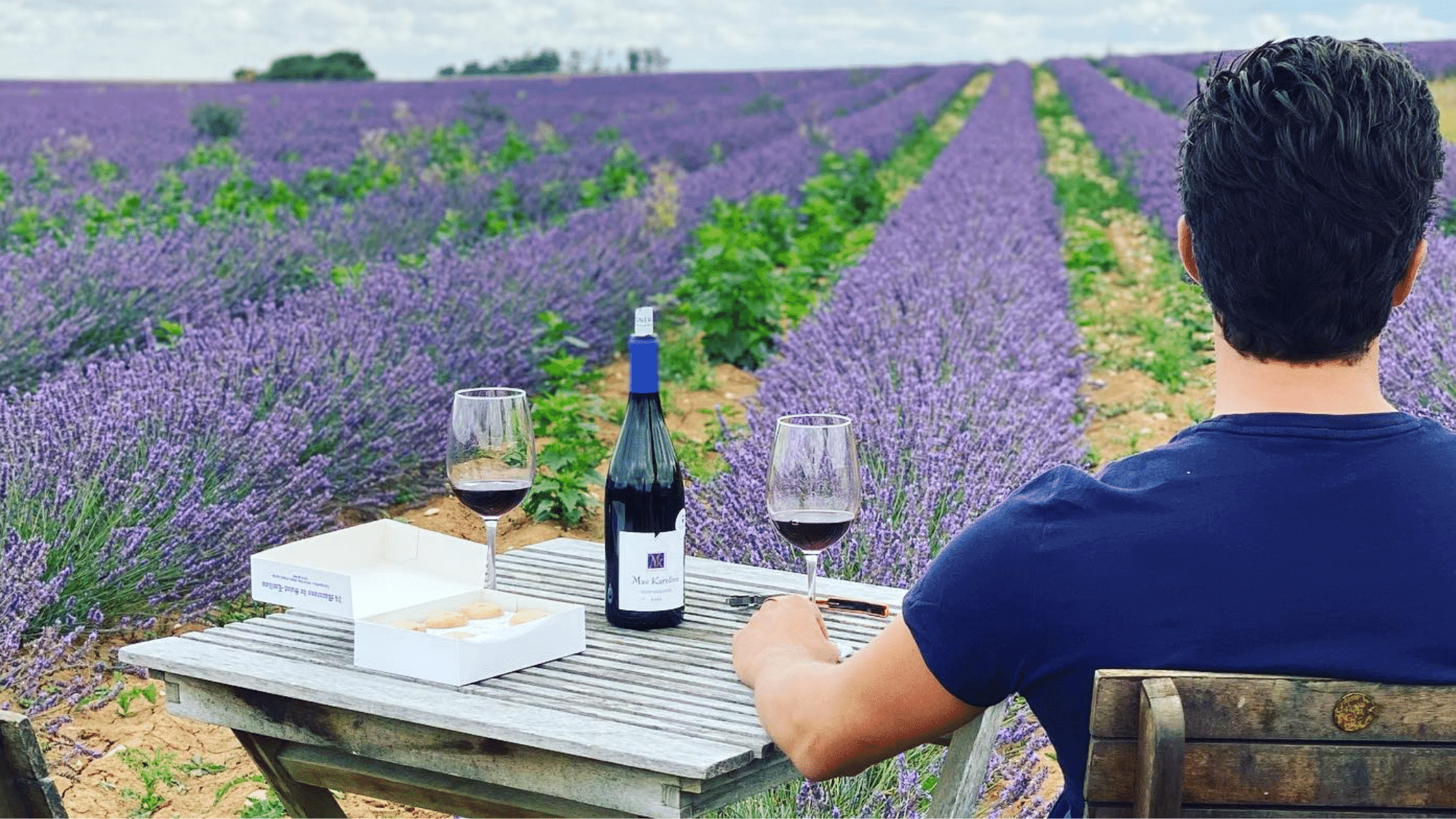 Homme assis devant un champ de lavande en train de boire du vin
