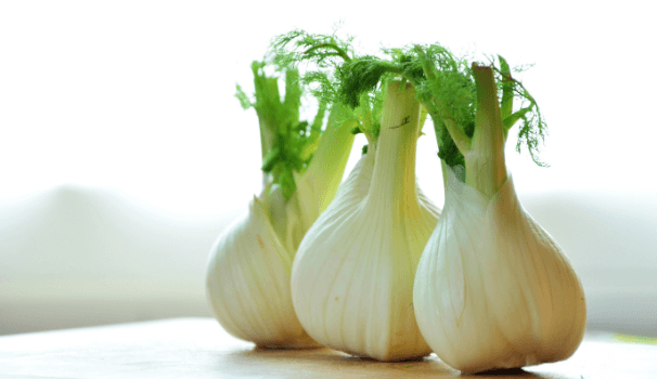 Fenouils sur une table : recettes de mai