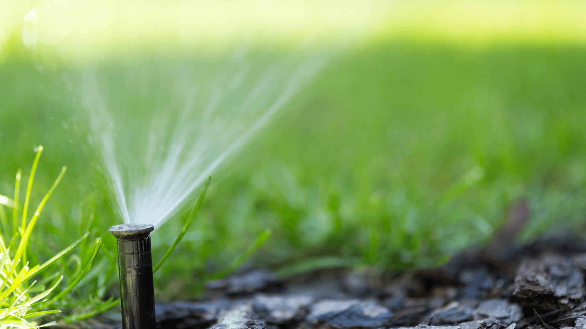 Arrosage automatique