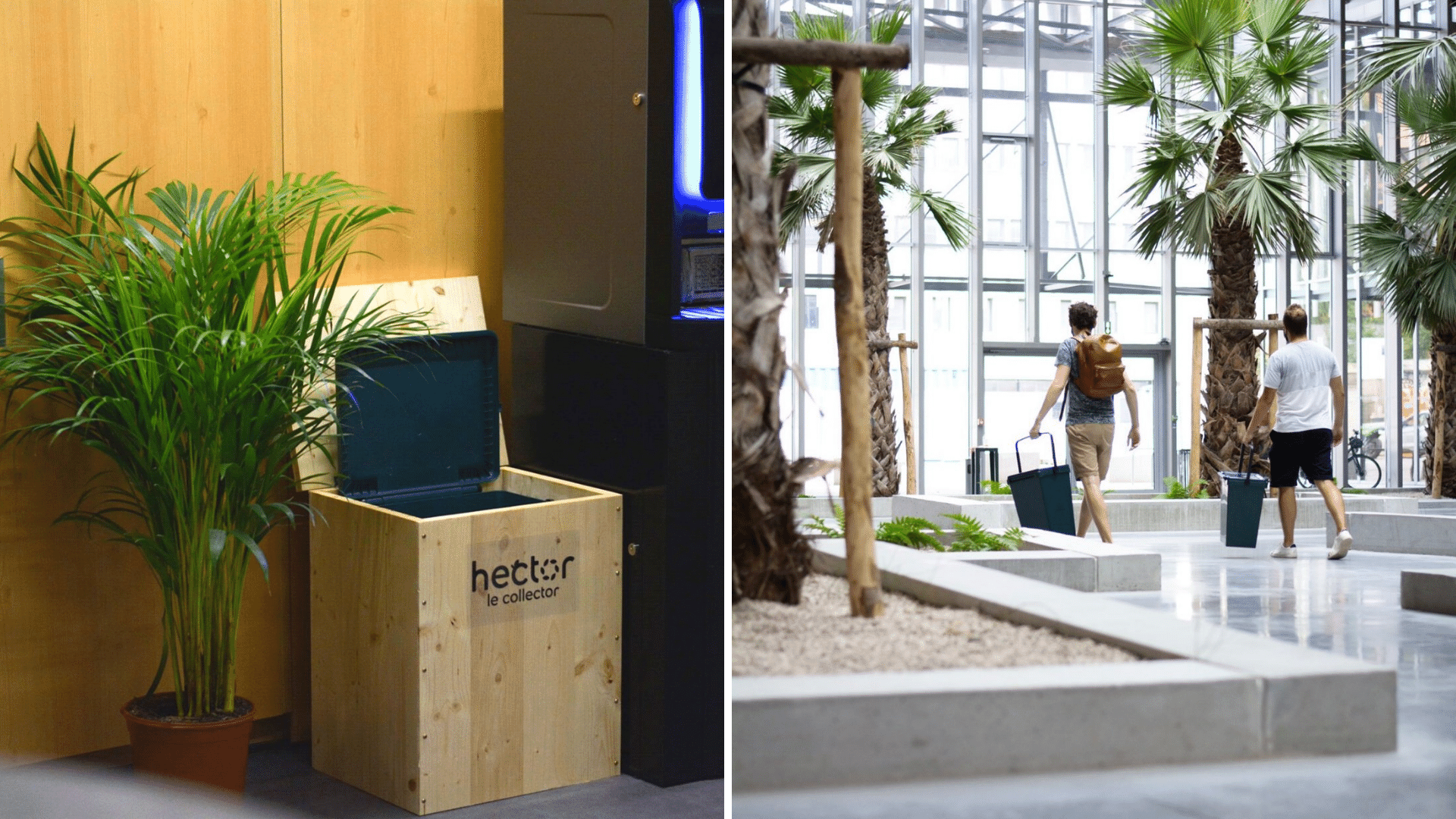 Récupération des biodéchets dans un grand lieu avec des palmiers