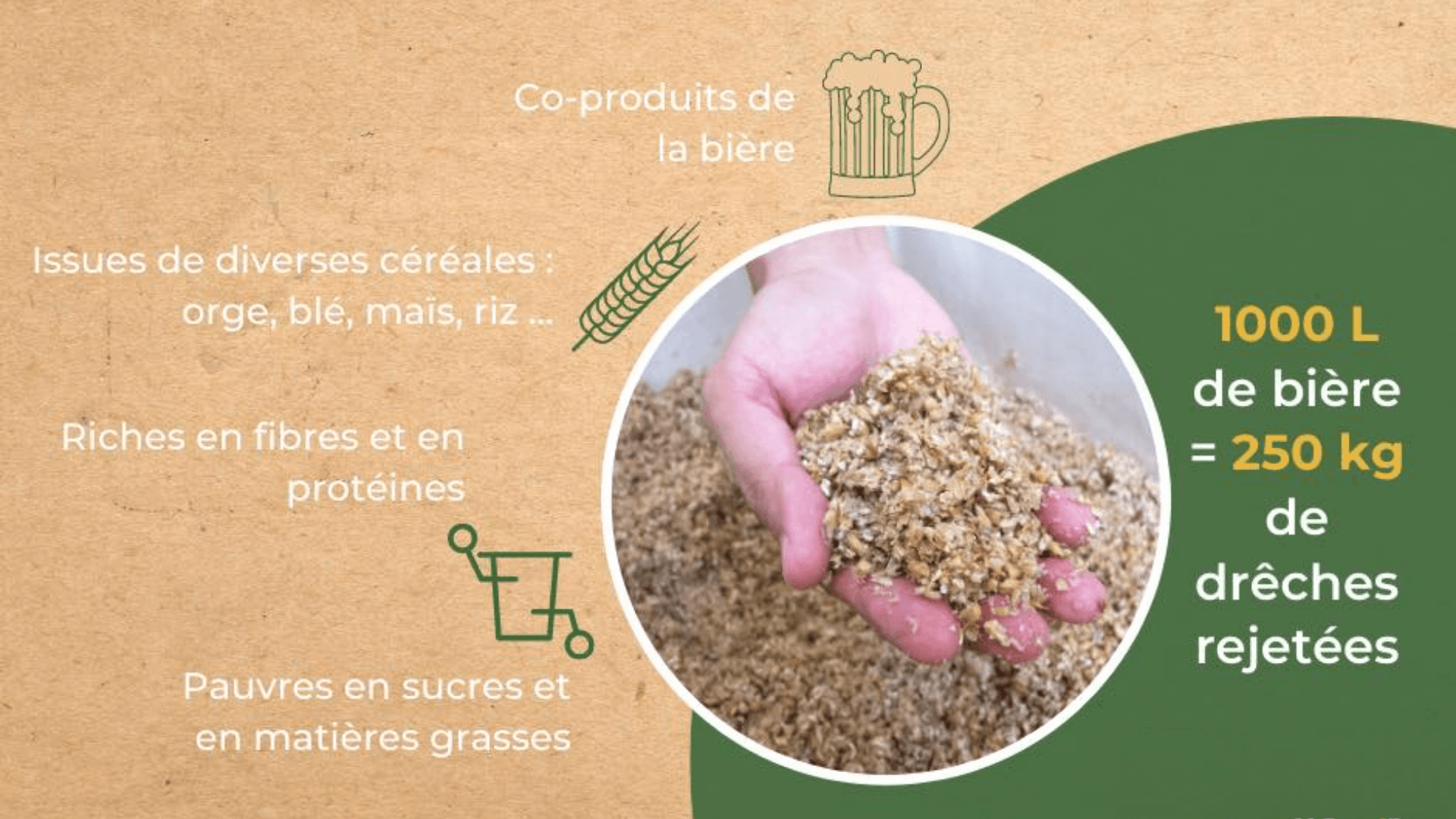 Avantages de l'utilisation des drèches de brasserie Waste me Up