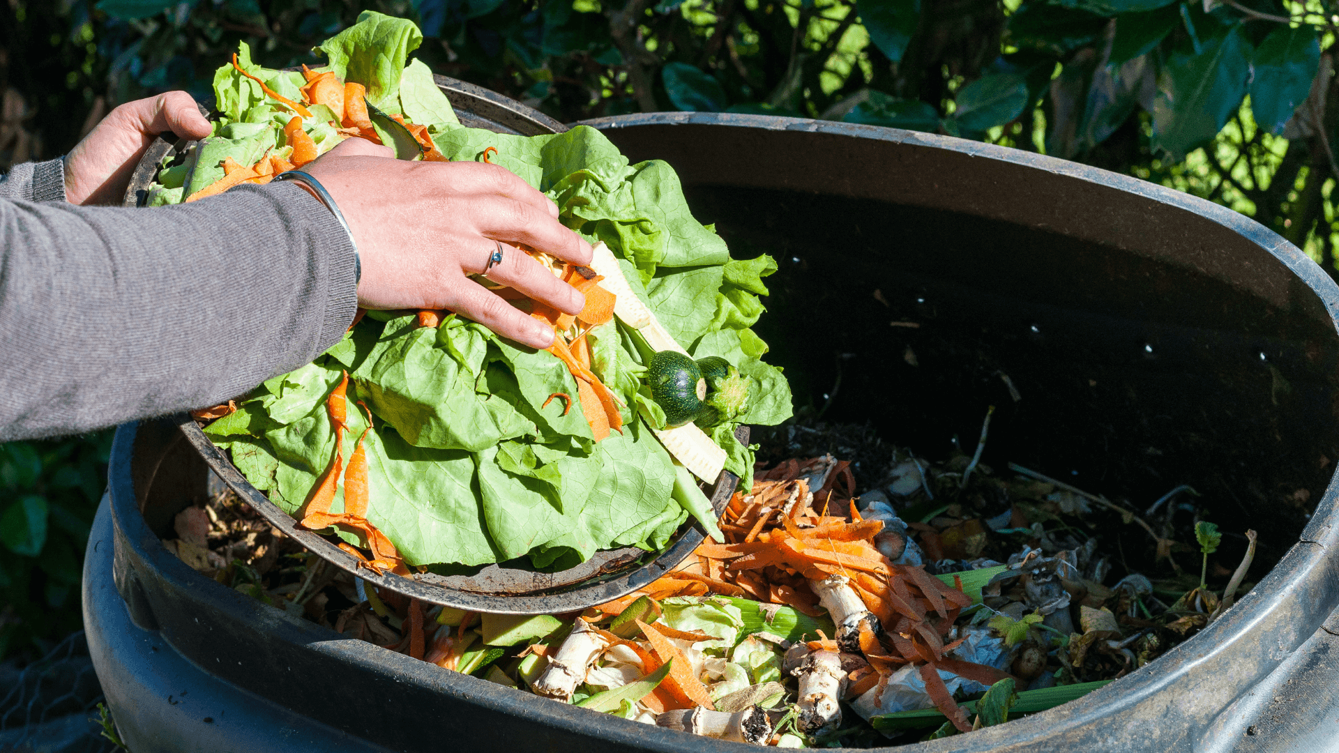 Compost avec des fruits et des légumes sur le dessus