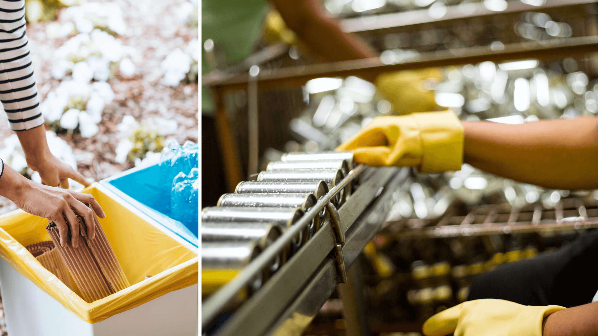 Recyclage des déchets alimentaires formation ludique écologie