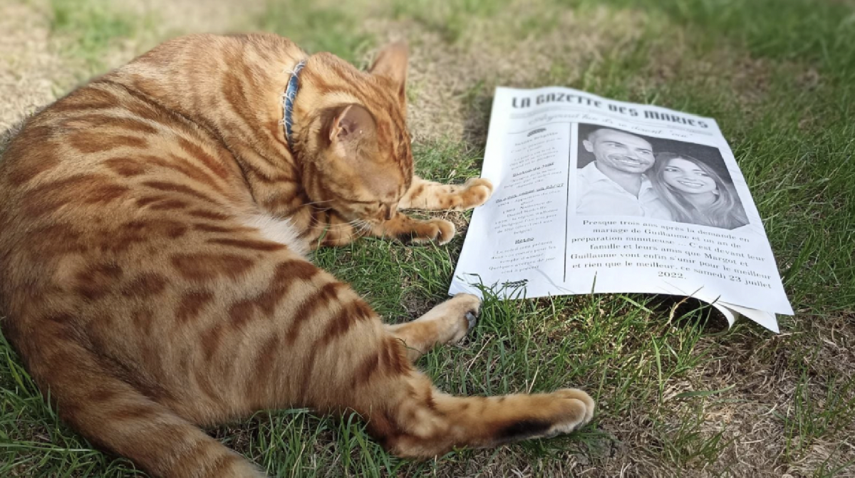 Ma fabrique à journal