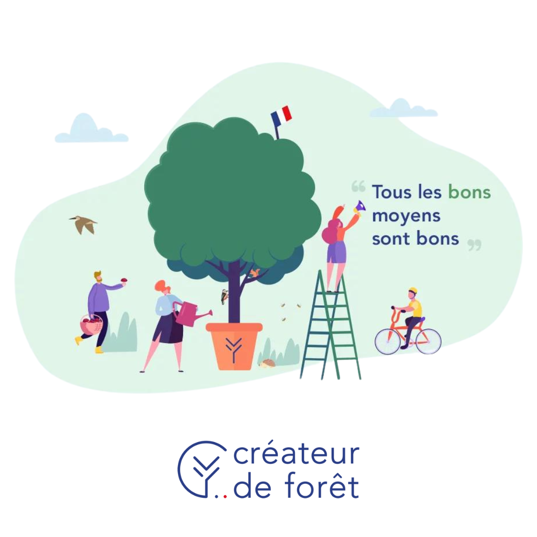 Créateur de forêt : impact écologique événement