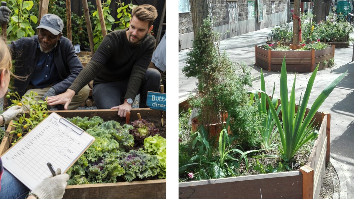 Atelier team building dans la nature