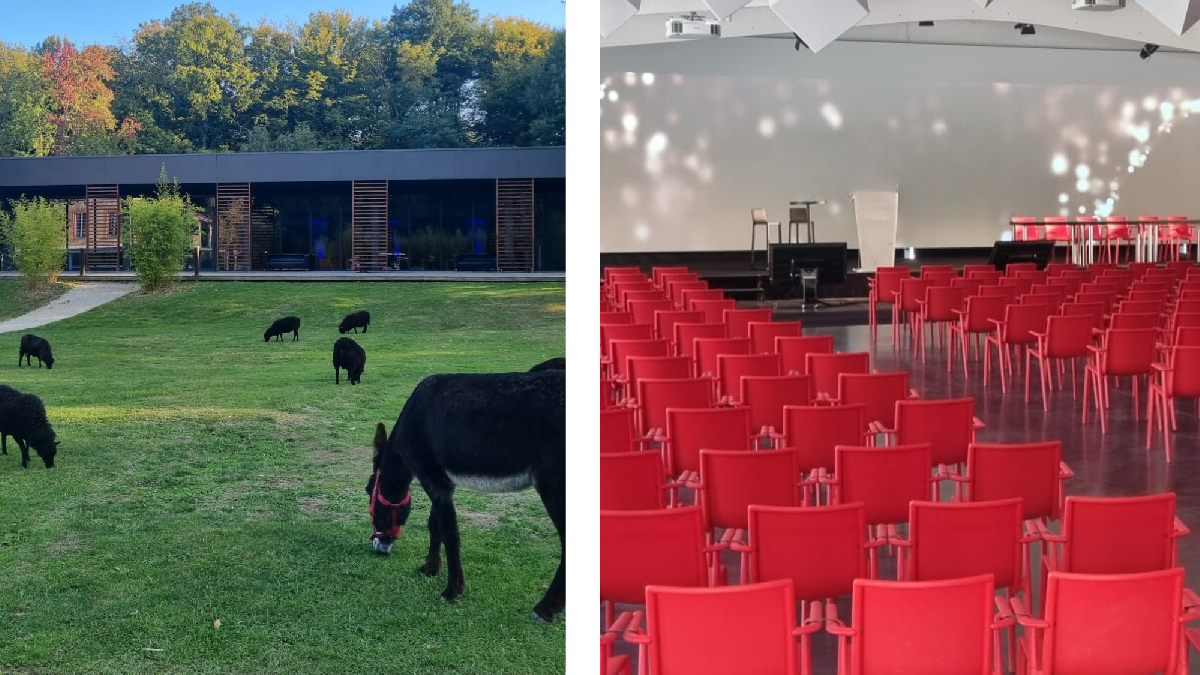 Domaine idéal pour vos événements professionnels