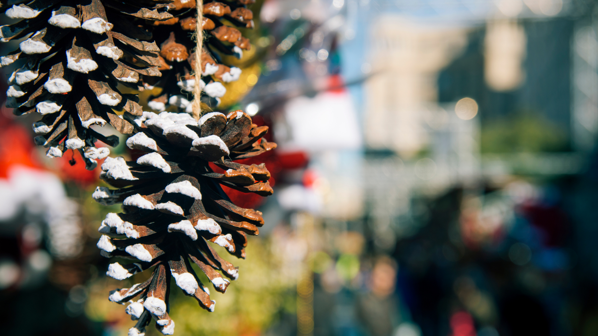 pomme de pin à Noël 