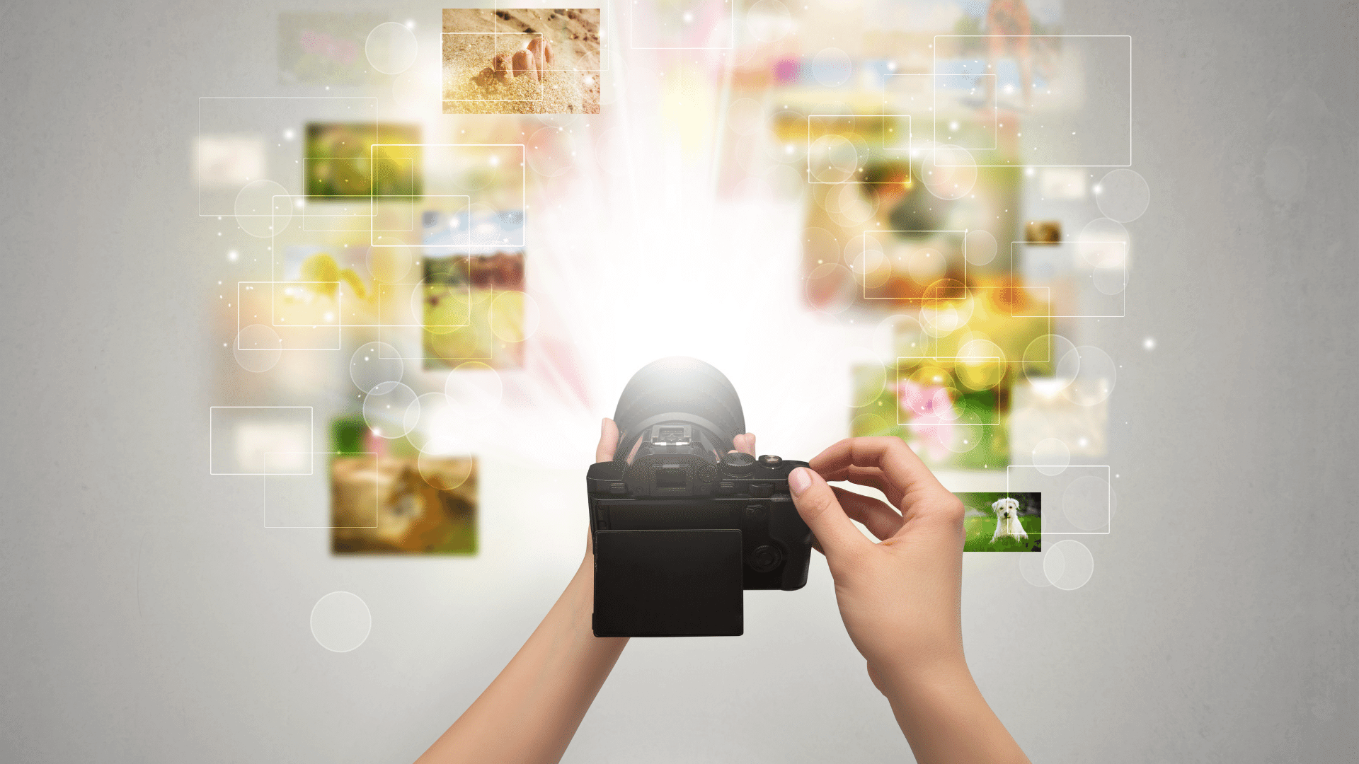 Appareil photo digital