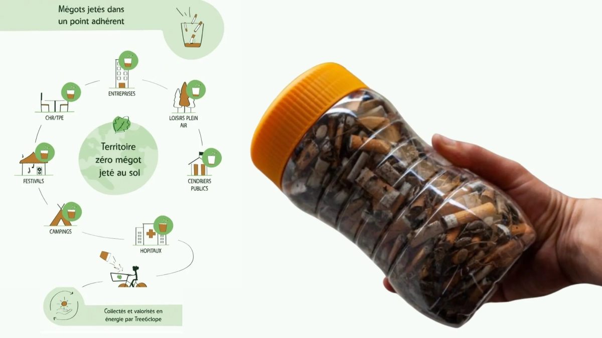 valorisation des mégots